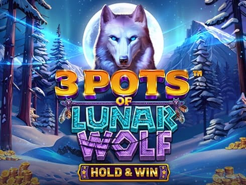 3 پاٹس آف لونر وولف game thumbnail