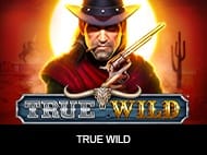 ٹرو وائلڈ game thumbnail